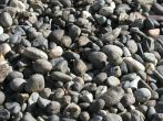 1 1/2" Drain Rock