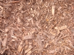 Cocoa Wood Chips