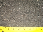 Planting Soil