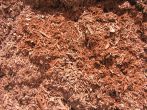 Ruby Bark Chips
