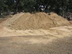 Sandy Loam
