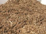 Walk-on Fir Bark