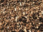 Small Deco Bark