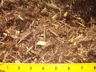 Shredded Cedar